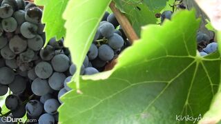 SAINT-TROPEZ with Kevin, Hoyt, Helmut, Jerome