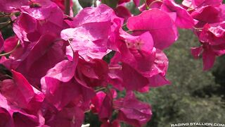 Retreat - Jesse Santana & Trent Locke