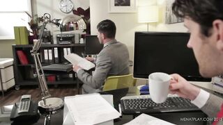 Diary of a Fox - Tuesday